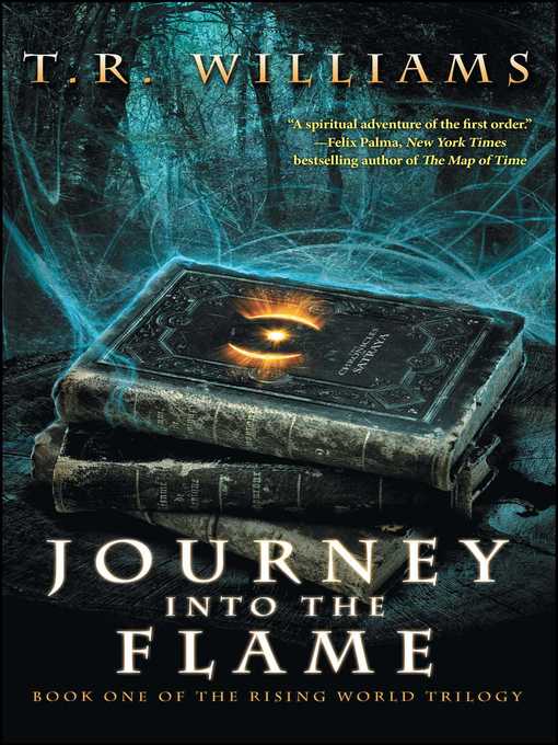 Cover image for Journey Into the Flame